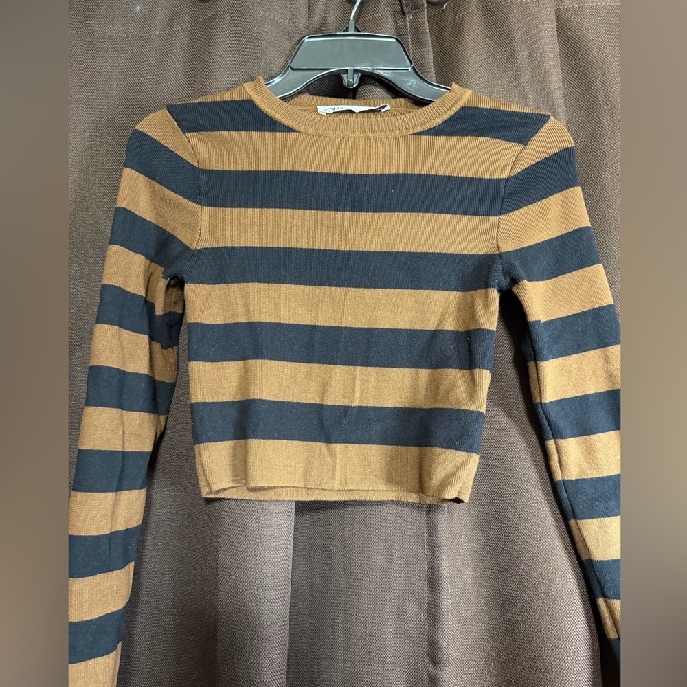 Zara Brown and Black Striped Top